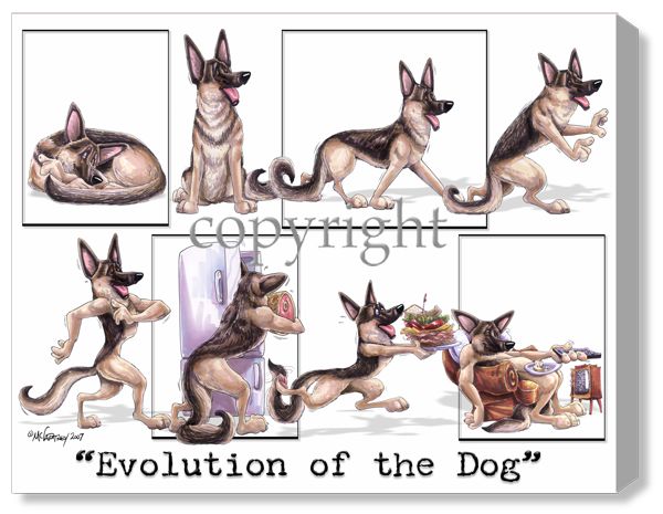 Evolution Of The Dog - Calendar Canvas – McCartneysDogs evolution-of-the-dog-calendar-canvas-mccartneysdogs