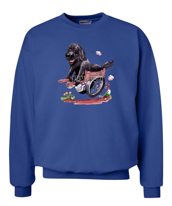 Newfoundland - In Cart - Caricature - Sweatshirt